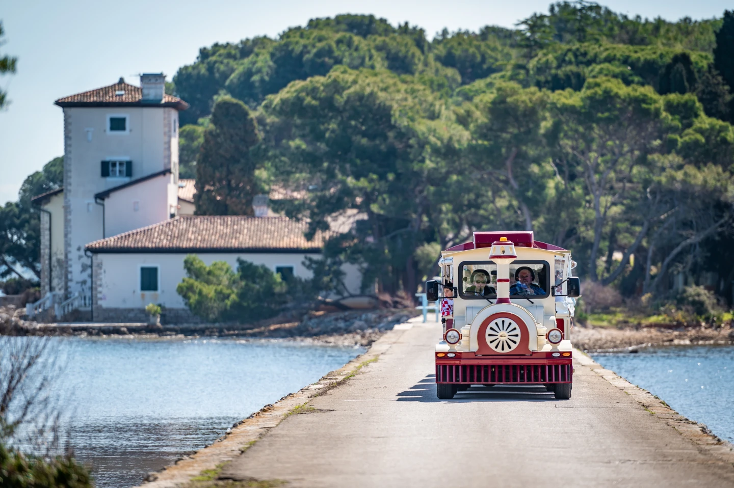 Visit Veliki Brijun with 30% Off Tickets