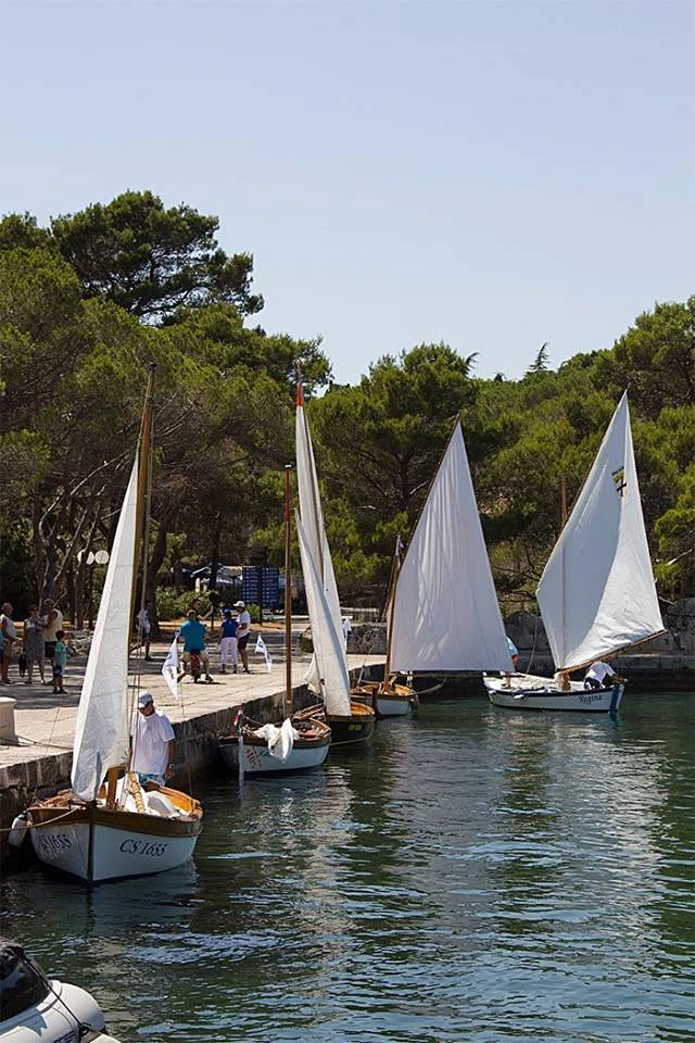 Regata tradicijskih barki Fažana - Brijuni