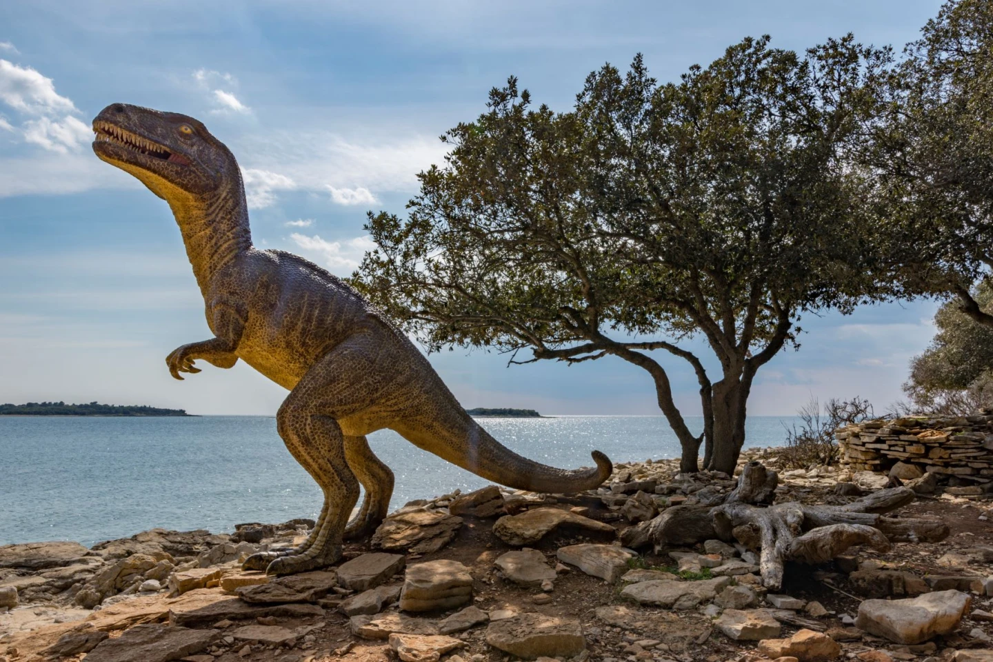 Dinosaur Day 2025