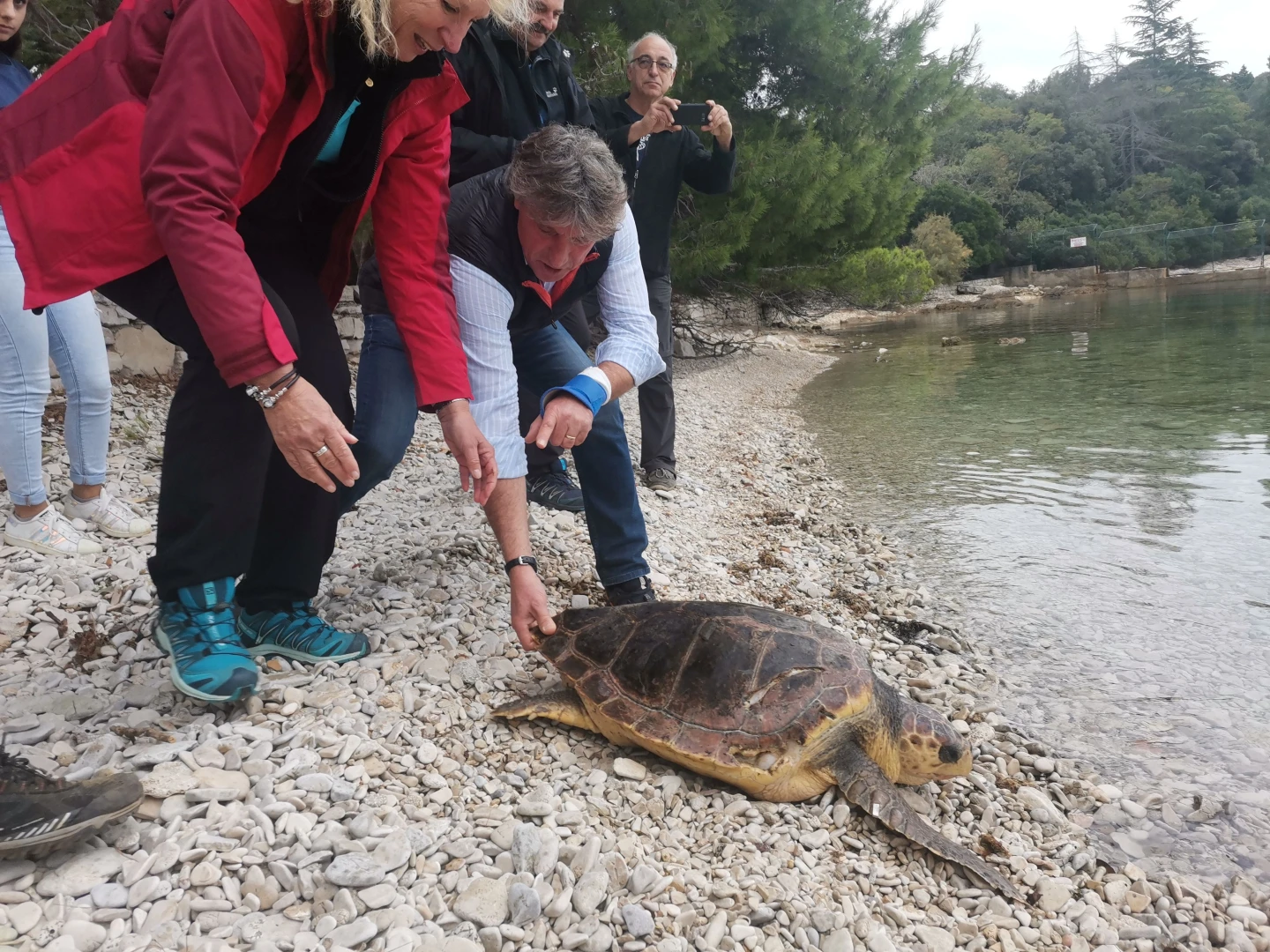 Morske kornjače Ella-Ravka i Martin vraćene u prirodu