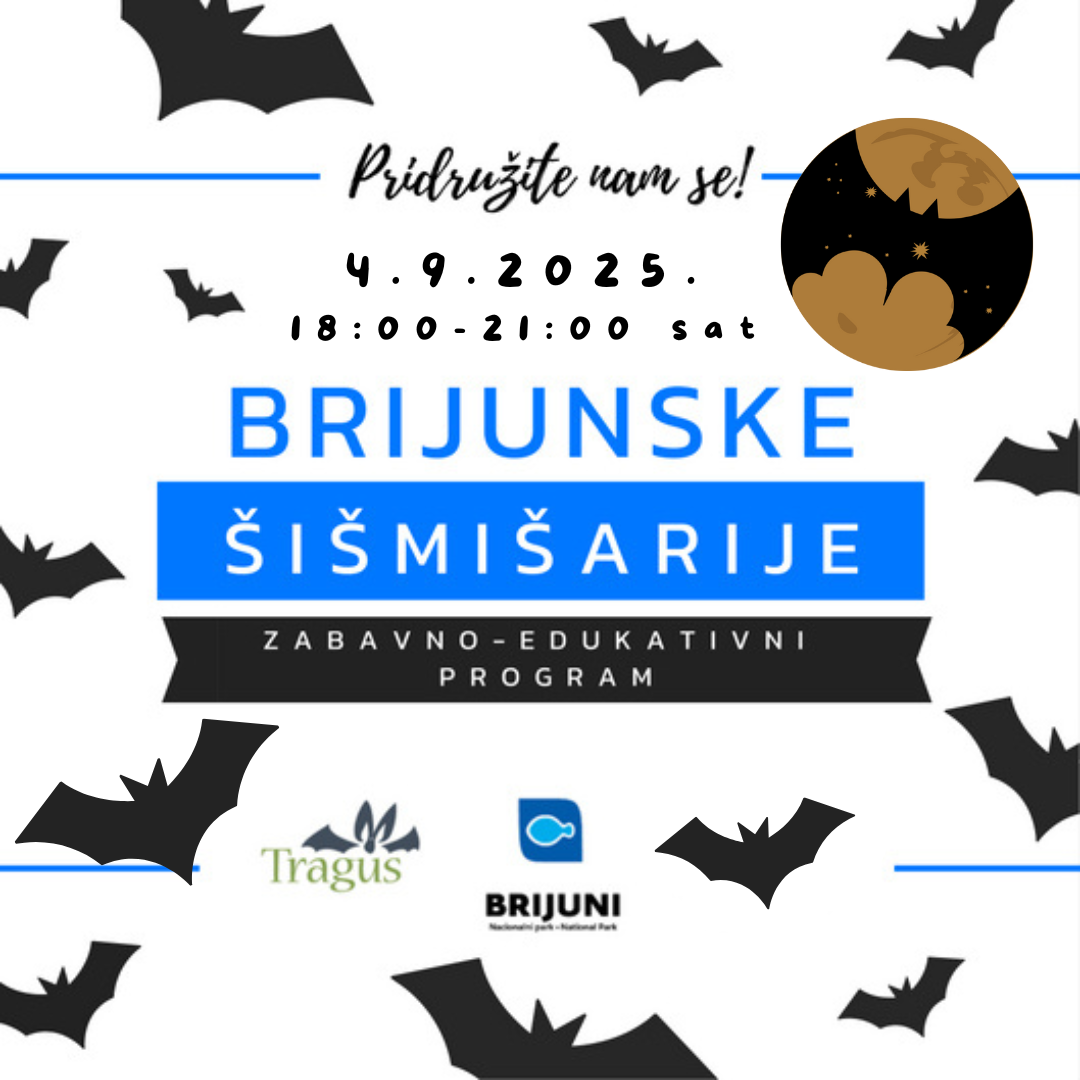Noć šišmiša 4.9.2025. godine