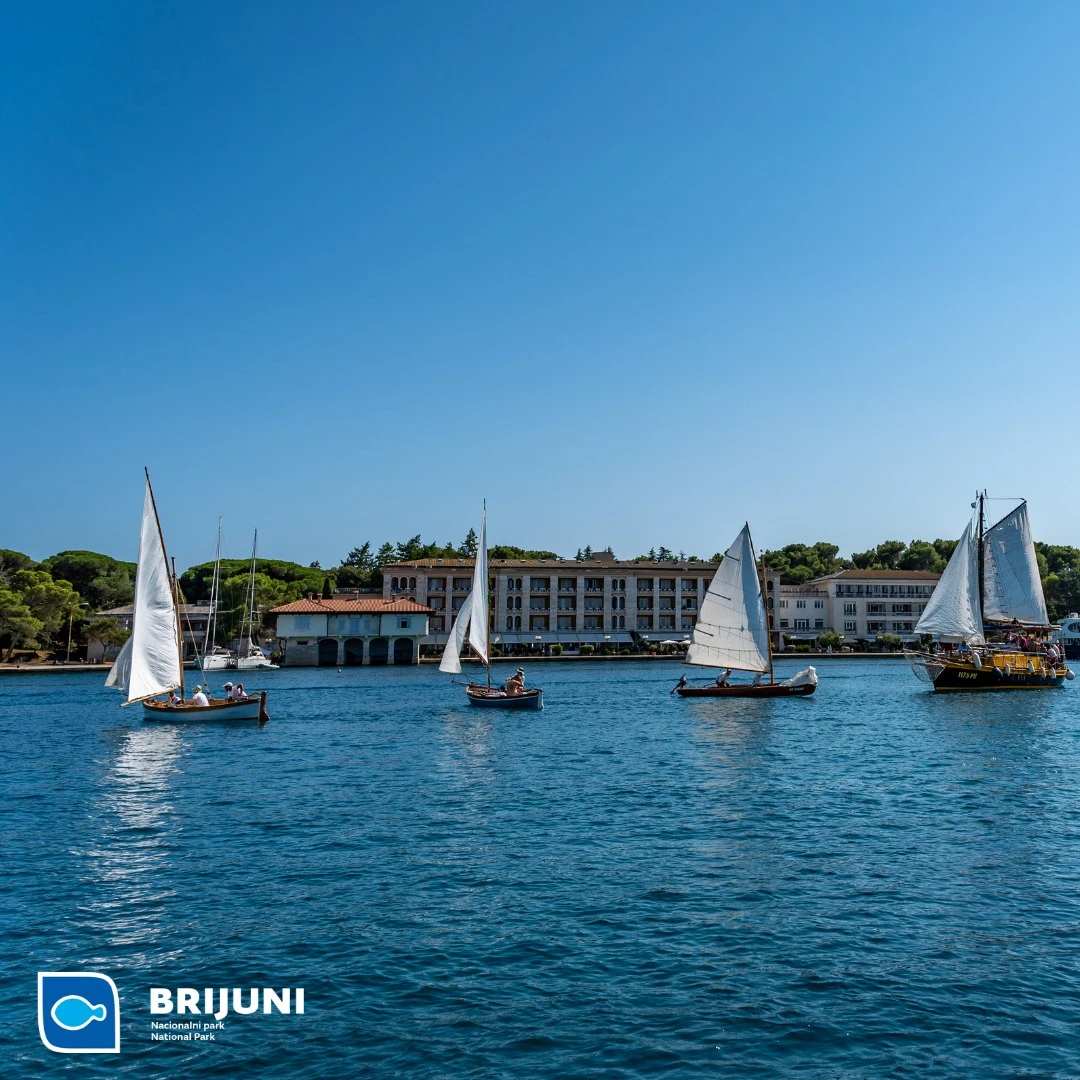 Traditional boat regata on Veliki Brijun