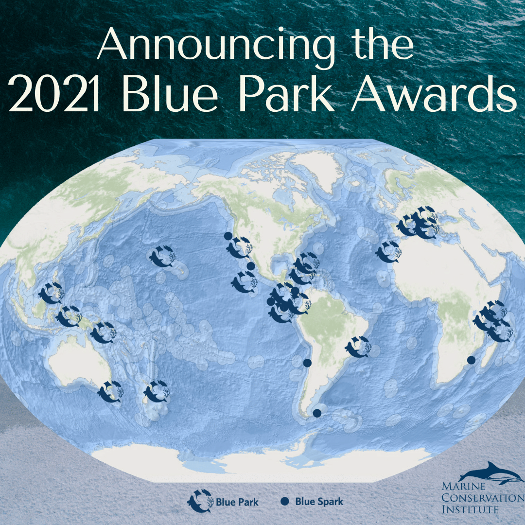 Der Nationalpark Brijuni erhält den Blue Park Award und tritt so dem wachsenden weltweiten Netzwerk für Meeresschutz bei