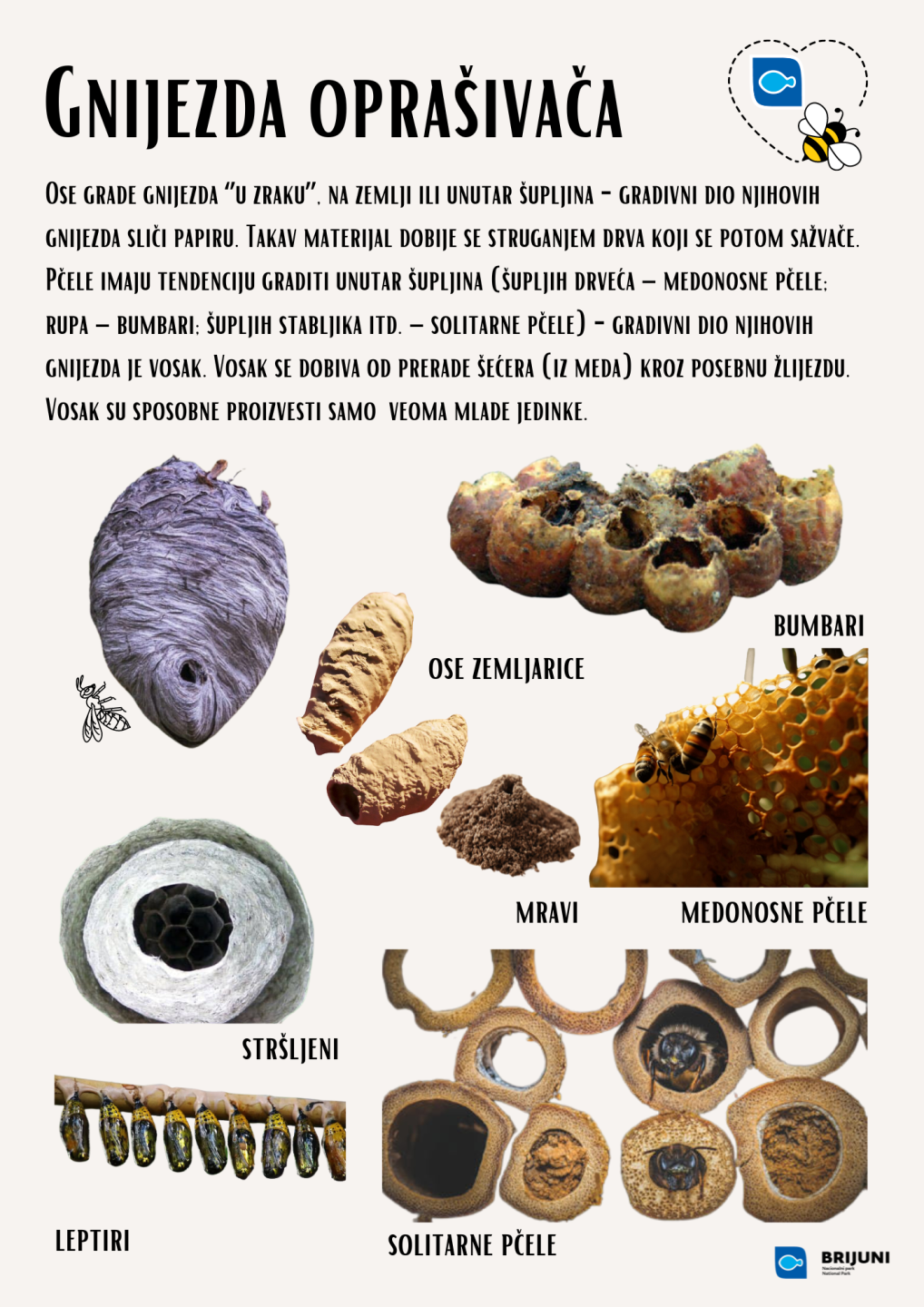 Gnijezda oprašivača