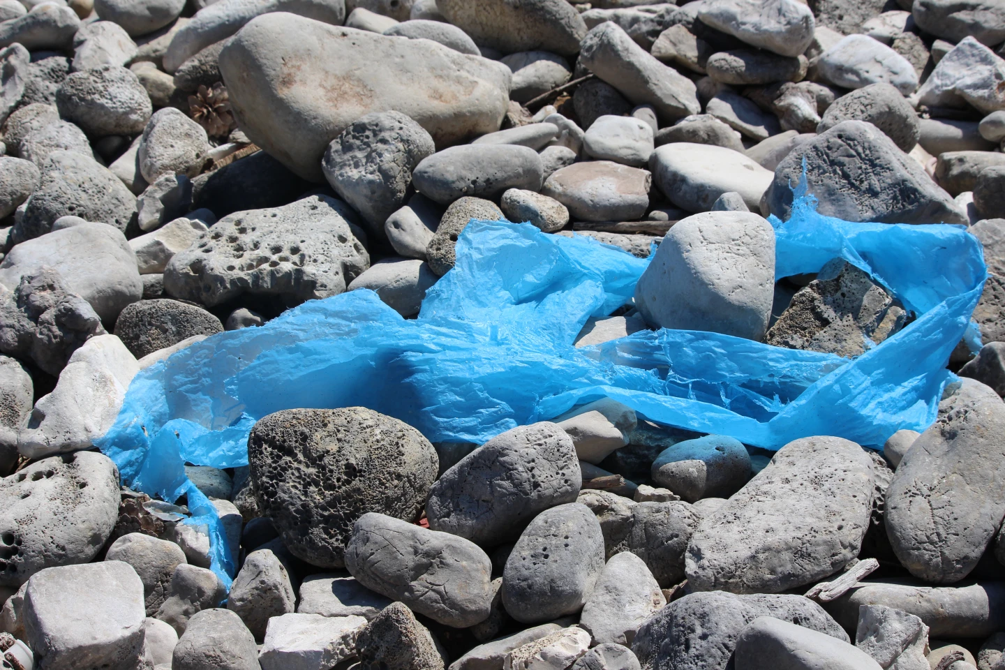 Plastika  - činjenice koje možda niste znali