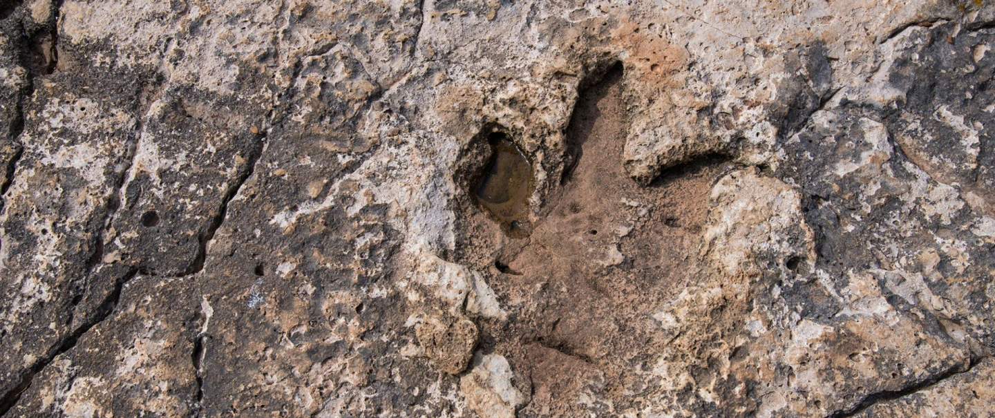 Dan dinosaura u NP Brijuni 20.4.2024. godine