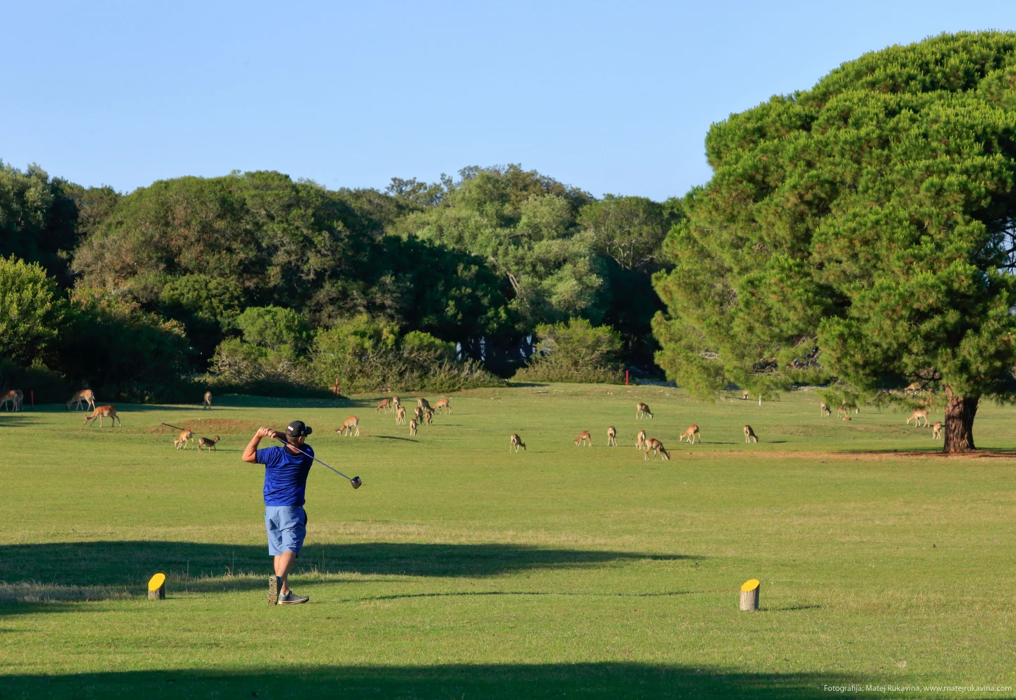 Golf danas