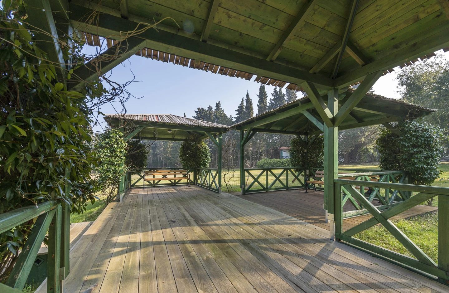 Mediterraner Garten