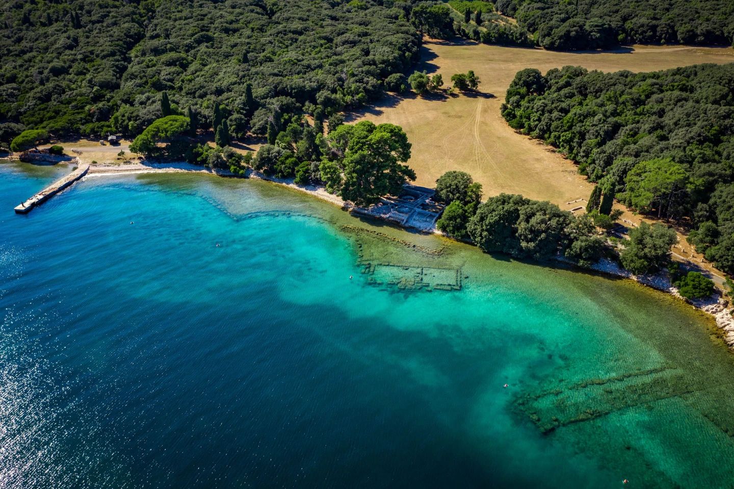 Godišnji sastanak partnera projekta o očuvanju plemenite periske (Pinna nobilis) u Jadranskom moru